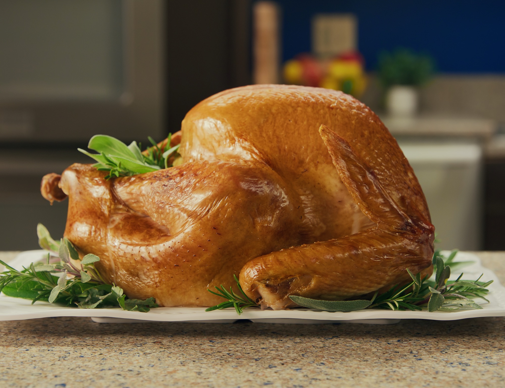 Cooked turkey on a platter