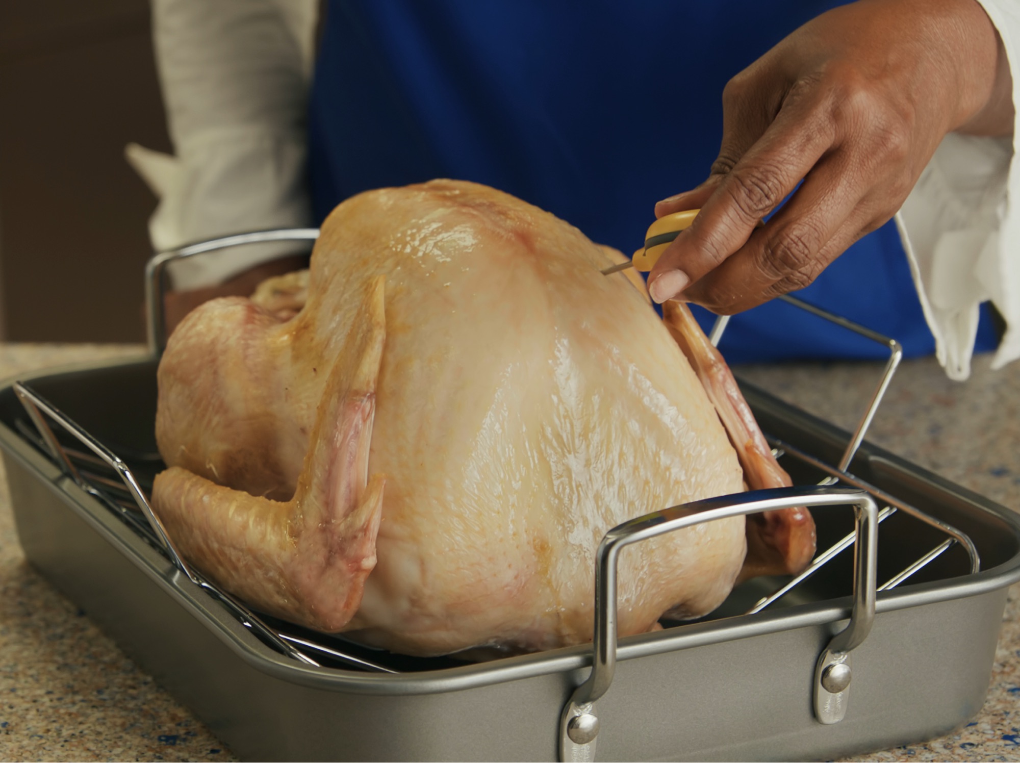 Butterball Ready to Roast Frozen Whole Turkey, 12 lbs - Harris Teeter
