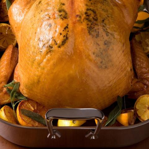 Image of Citrus Mustard Basted Turkey
