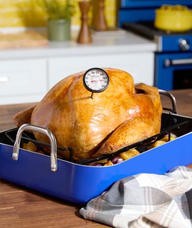 Turkey in a roasting dish with a meat thermometer sticking out.