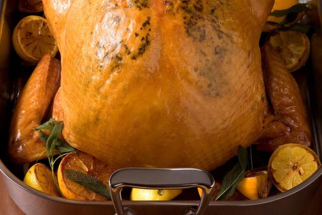Image of Citrus Mustard Basted Turkey